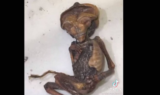 Investigan el hallazgo de restos humanos en el antiguo hospital de La Línea