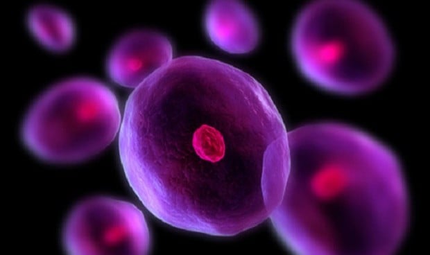 Una inyección de células madre reduce el riesgo de muerte en Covid-19 grave