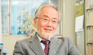 Japón y la autofagia privan a España de su tercer Nobel de Medicina
