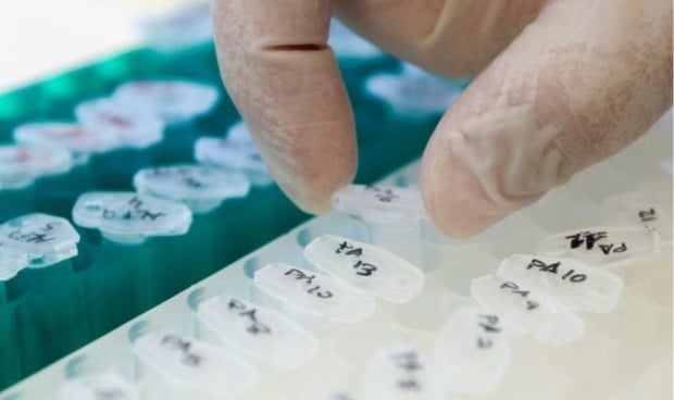 La Aemps autoriza el primer ensayo con el nuevo procedimiento 'fast-track'