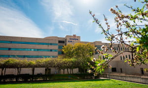 Las propuestas de la Airef para hacer frente a los problemas y mejorar la sanidad de Baleares, al completo