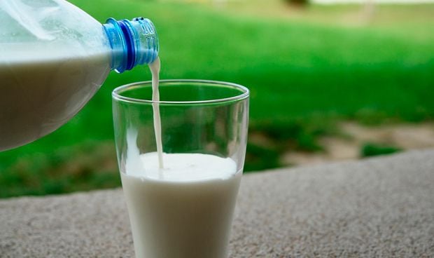 La alergia a leche de vaca aumenta en niños si se retrasa su introducción 