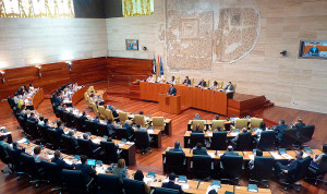 Un instante en la Asamblea de Extremadura.