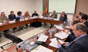 Asamblea General del Consejo de Dentistas, ha aprobado este jueves los Presupuestos Generales de la organización