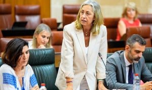 Rocío Hernández, consejera de Salud y Consumo de Andalucía