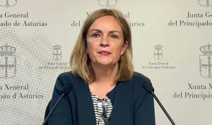 La Cámara asturiana plantea trasladar a médicos para garantizar el aborto