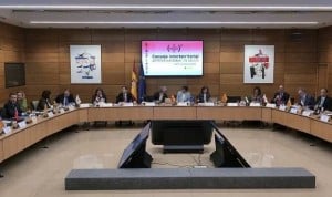 La Comisión del futuro de Familia y listas de espera, al Interterritorial