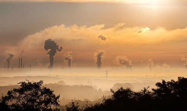 La contaminación y las bebidas azucaradas dañan el páncreas y el riñón