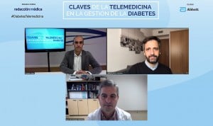 La diabetes, "paradigma ideal" de patología para aplicar la telemedicina