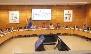 Pleno de un Consejo Interterritorial, en cuya última sesión de analizó el informe de ejecución de la Estrategia de Salud Digital