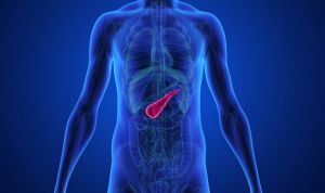 La duplicación de genes en el cáncer de páncreas potencia su agresividad
