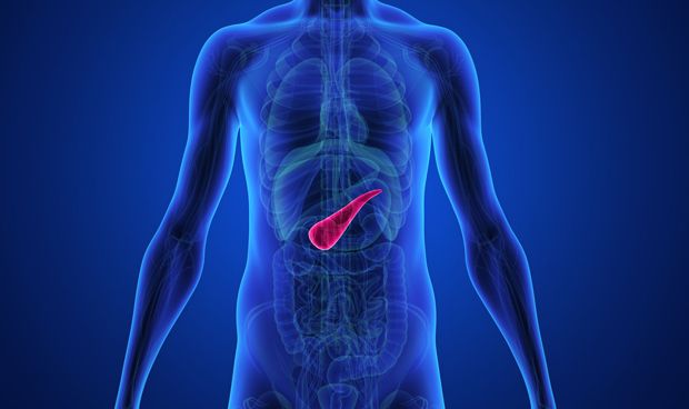 La duplicación de genes en el cáncer de páncreas potencia su agresividad