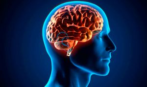 La epilepsia está relacionada con las diferencias de grosor del cerebro