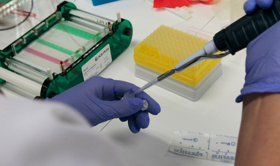 Aelmhu propone una evaluación diferenciada para agilizar acceso a huérfanos