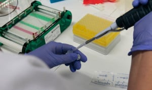 Aelmhu propone una evaluación diferenciada para agilizar acceso a huérfanos