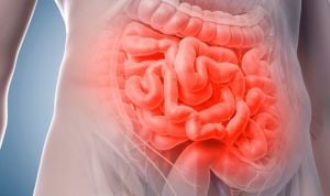 La fructosa en el hígado agrava el cáncer metastásico