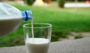 La grasa láctea en grandes cantidades se asocia a menor riesgo de diabetes