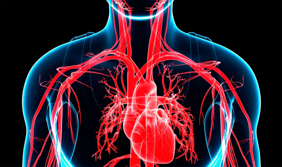 Semergen advierte que 16,5 millones de españoles tienen hipertensión