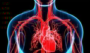 Semergen advierte que 16,5 millones de españoles tienen hipertensión