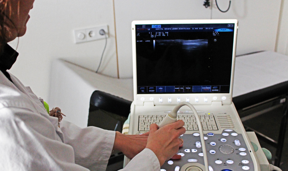 Una nueva plataforma permitirá integrar en las historias clínicas de los ciudadanos de Cataluña las imágenes médicas realizadas en centros privados