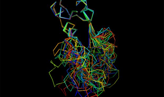 La hormona de la insulina protege al cerebro frente el alzhimer