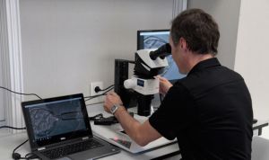 La industria farmacéutica está entre los sectores que más domina el inglés