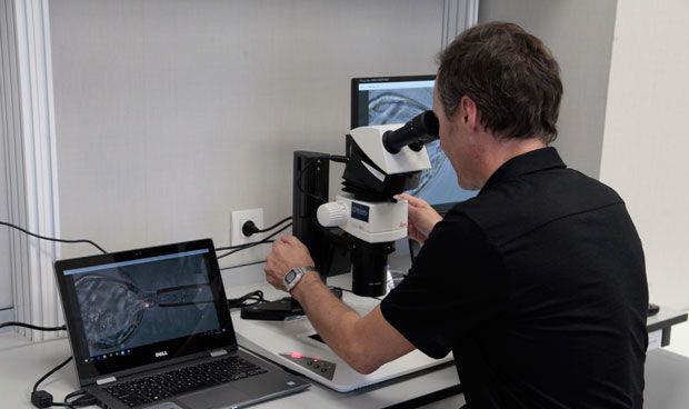 La industria farmacéutica está entre los sectores que más domina el inglés