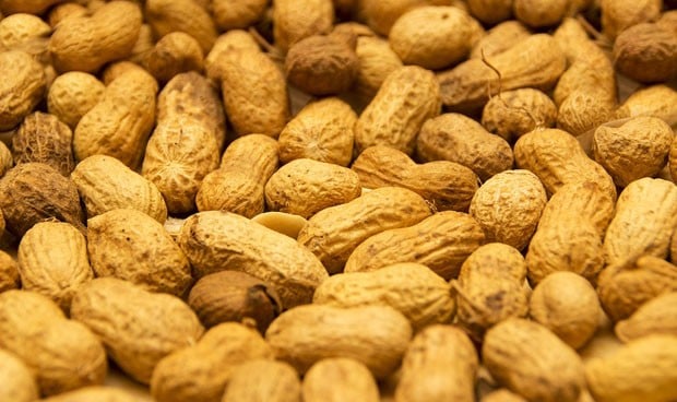 La inmunoterapia no permite a los alérgicos incluir cacahuetes en su dieta