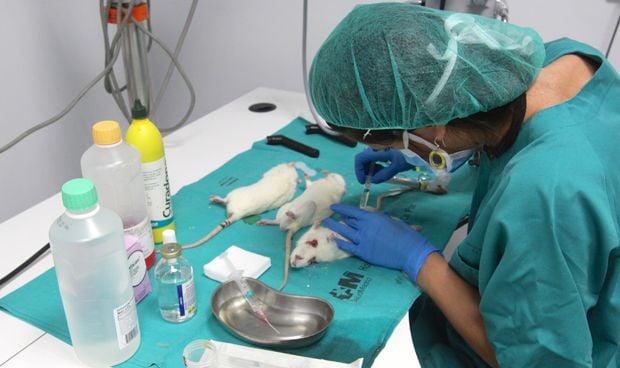 La investigación en Enfermería une a profesores y estudiantes de la UPNA