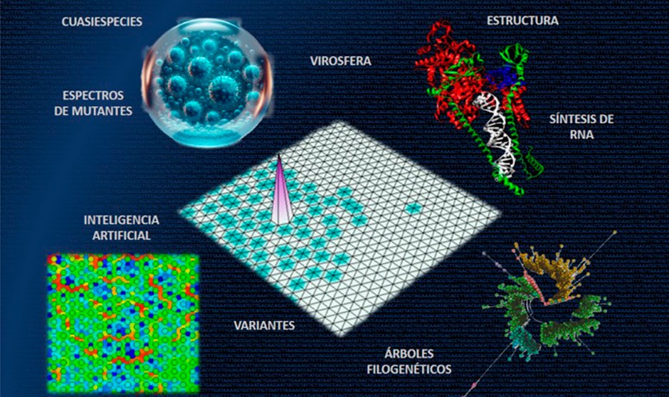 Uso de redes neuronales para identificar mutaciones que afectan la multiplicación del virus SARS-CoV-2