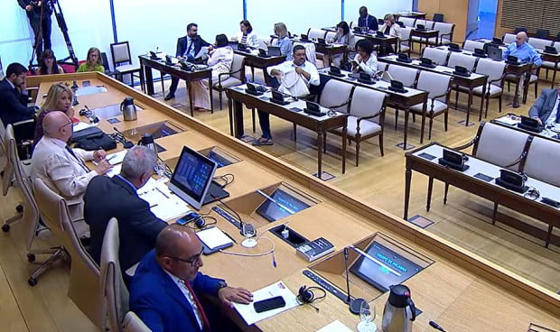 Comisión de Seguridad Social, que ha debatido la posibilidad de establecer la jubilación anticipada con coeficientes reductores para la industria química