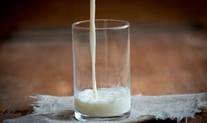 La leche entera se asocia a menos riesgo cardiaco y una menor mortalidad