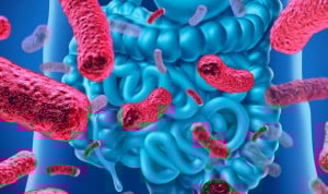 La microbiota humana, en el punto de mira de la investigación de patologías