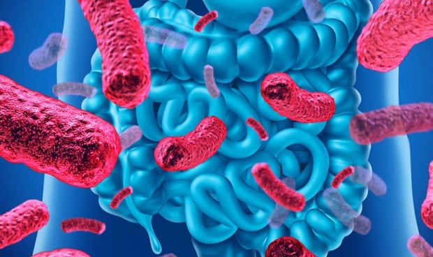 La microbiota humana, en el punto de mira de la investigación de patologías