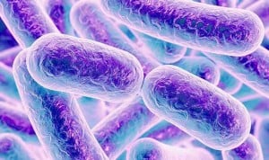 La microbiota juega un papel fundamental en la salud de la persona