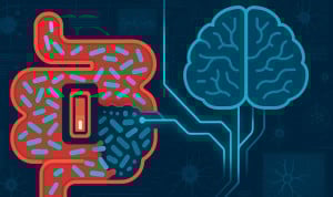 Una investigación relaciona el estado de la microbiota con la gravedad de los ictus.