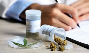 La mitad de los oncólogos daría marihuana medicinal a sus pacientes