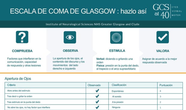 Niko Mihic, Sports Doctors Network