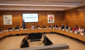 Consejo Interterritorial del Sistema Nacional de Salud (CISNS).
