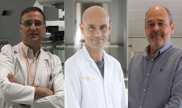 Especialistas en Oncología Radioterápica analizan la actualización del nuevo Real Decreto.