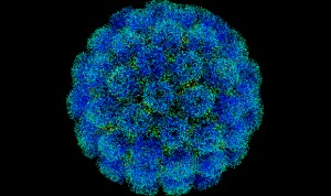 La Paz y 12 de Octubre participan en un plan europeo para detectar virus