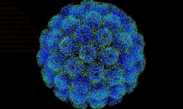 La Paz y 12 de Octubre participan en un plan europeo para detectar virus