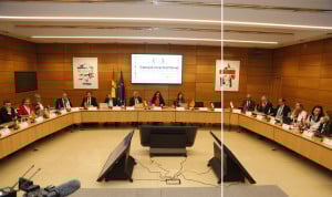 La POP como mediadora "fue planteada por un número reducido" de consejeros