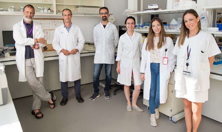 Los investigadores del Hospital de Parapléjicos de Toledo apuestan por el ARNm frente a lesiones medulares