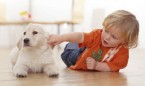 La terapia con perros mejora algunos de los síntomas del TDAH en niños
