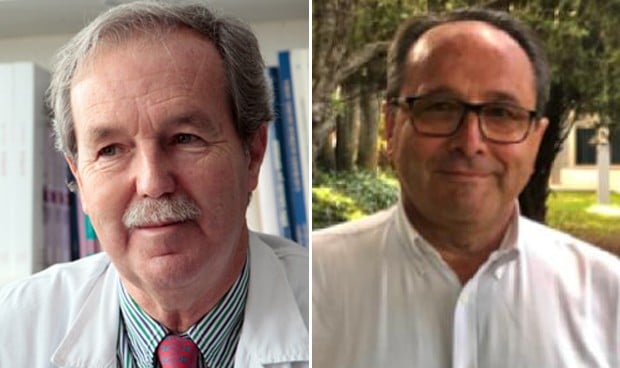 La UAM vota a su nuevo decano de Medicina: Álvarez-Sala o Sánchez Ferrer