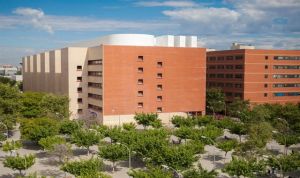 La Universidad de Valencia retira otros 4 másteres con pseudociencias
