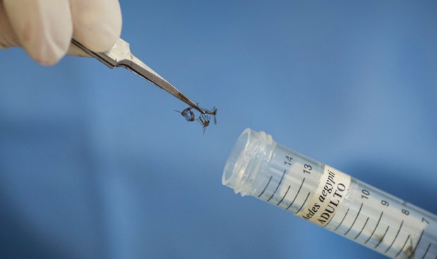 La vacuna del zika y otras revoluciones médicas que van a llegar en 2017