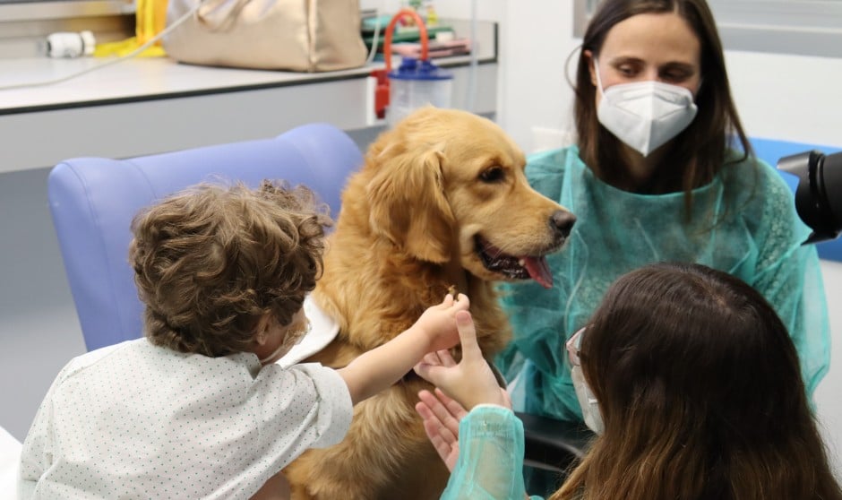 Terapia con perros en UCI pediátrica