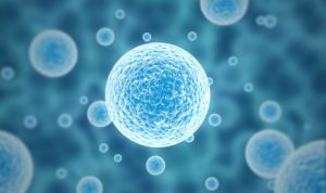 Las bacterias intestinales predicen la reacción al estrés social